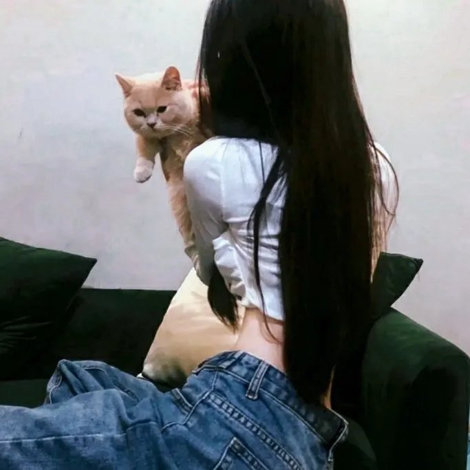 鱼缸