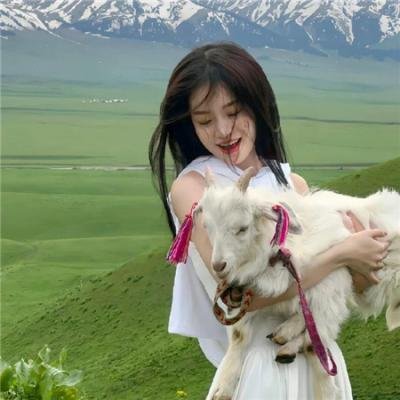 不十分好莱坞